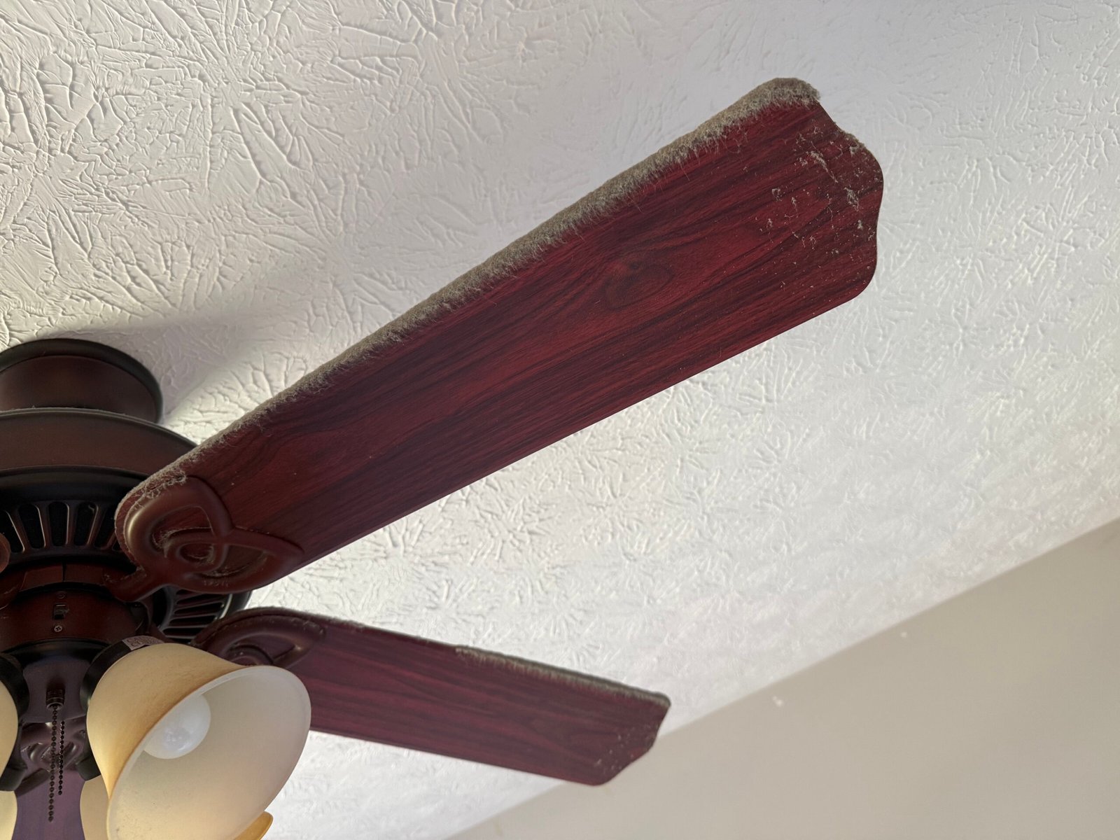 C9EA3FD0-B264-4549-B267-5E5950793683