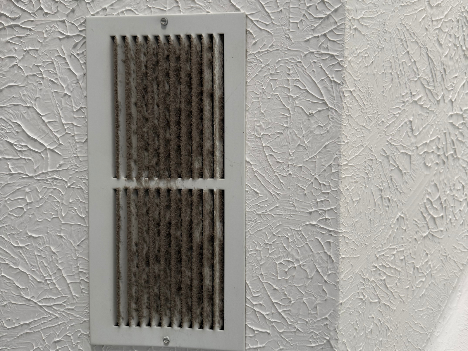 Untitled design - 2025-07-10T025729.907